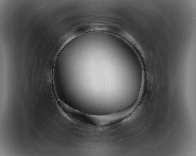 X0000086991377200704161458
