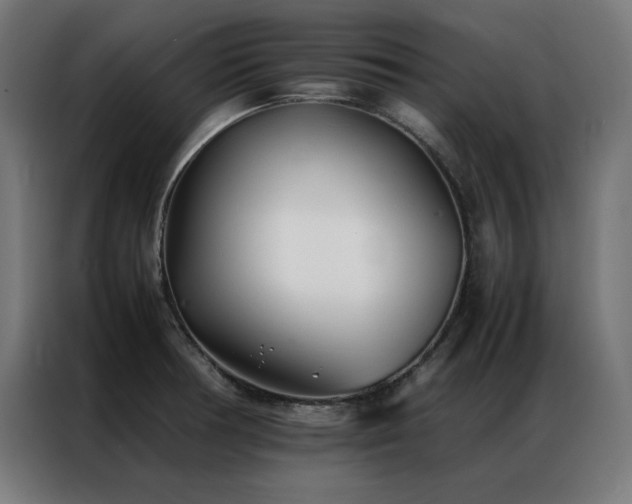X0000086991378200704161458