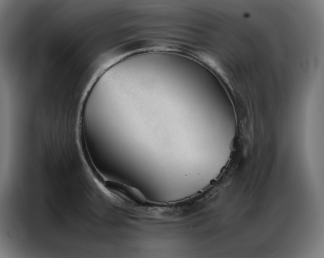 X0000086991379200704161458