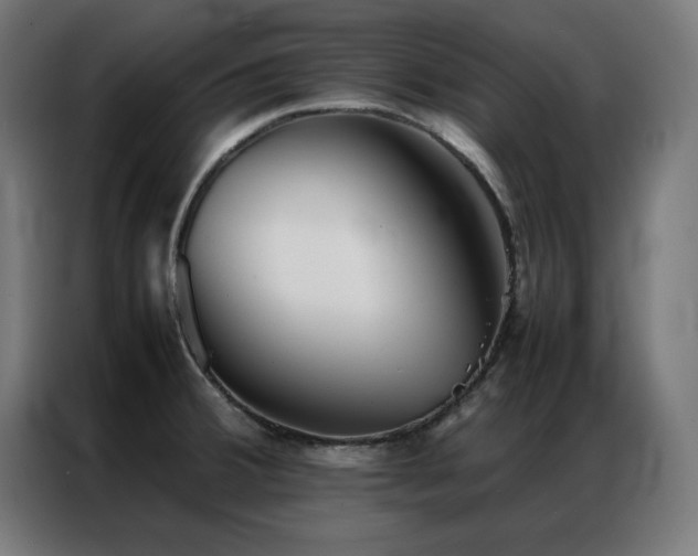 X0000086991380200704161458