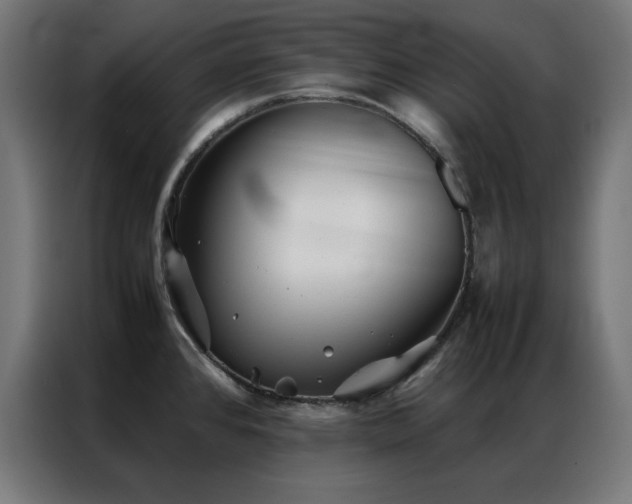 X0000086991384200704161458