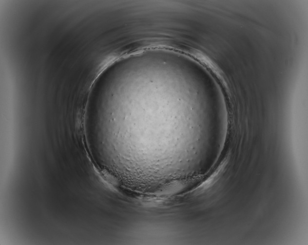 X0000086991385200704161458