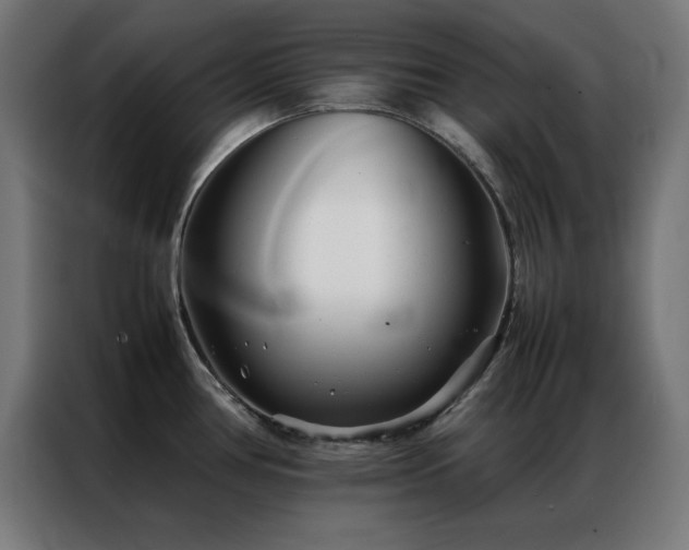 X0000086991386200704161458