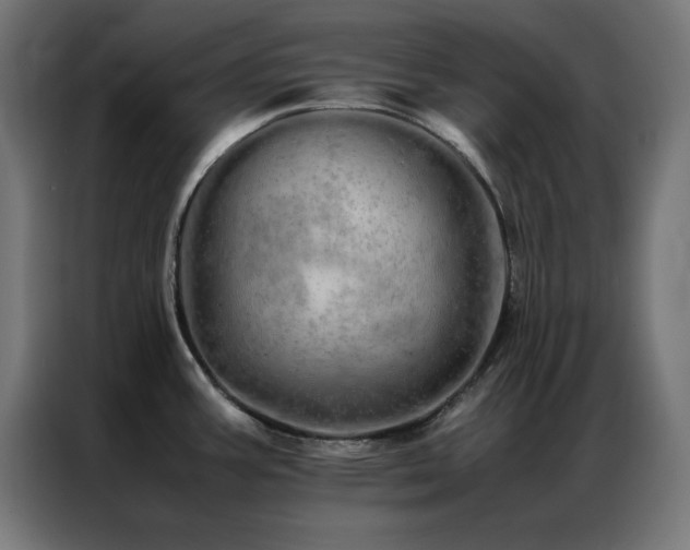 X0000086991387200704161458