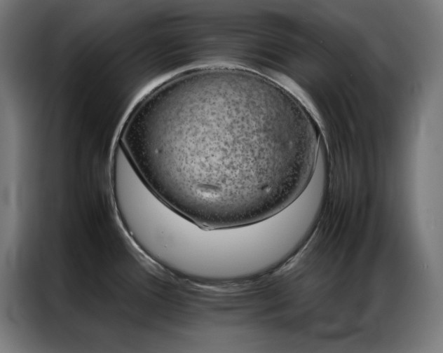 X0000086991388200704161458