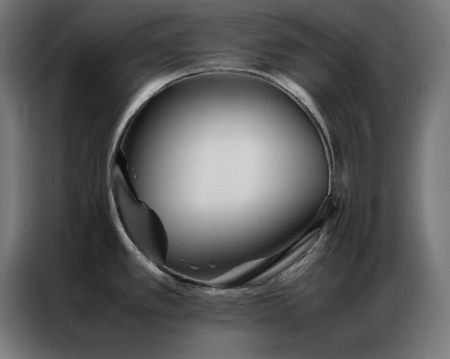 X0000086991389200704161458