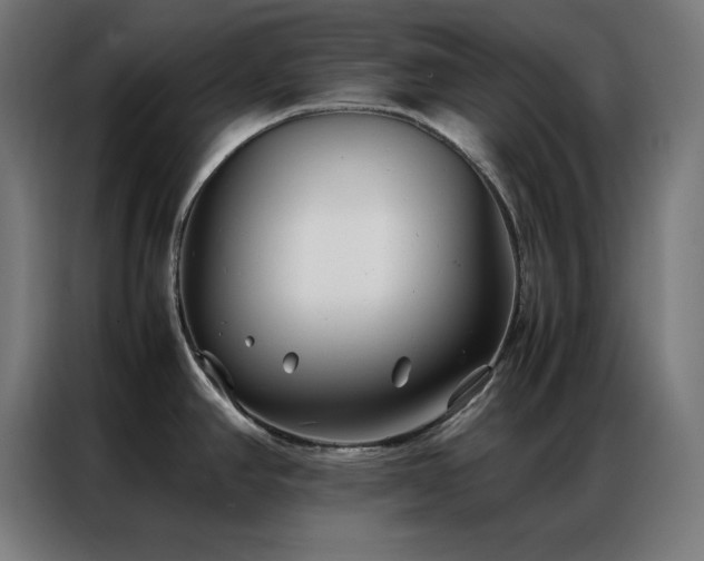 X0000086991390200704161458