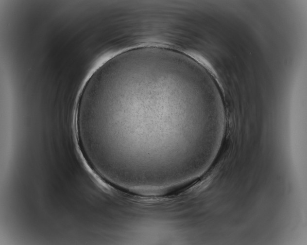 X0000086991391200704161458