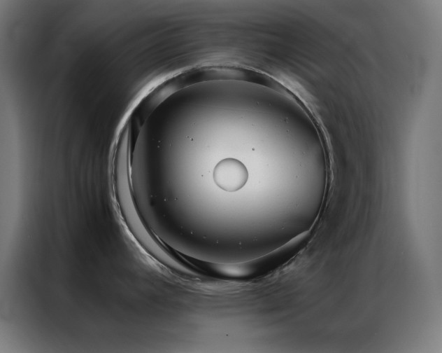 X0000086991392200704161458