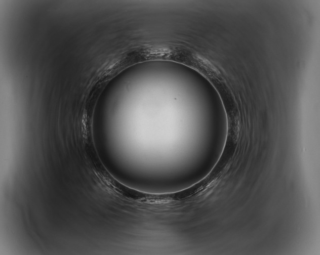 X0000086991394200704161457