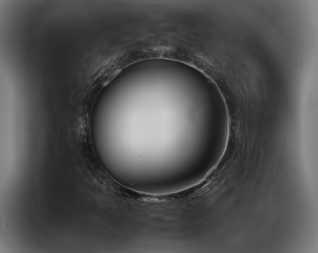 X0000086991397200704161457