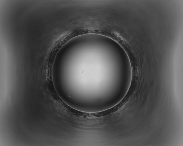 X0000086991398200704161458