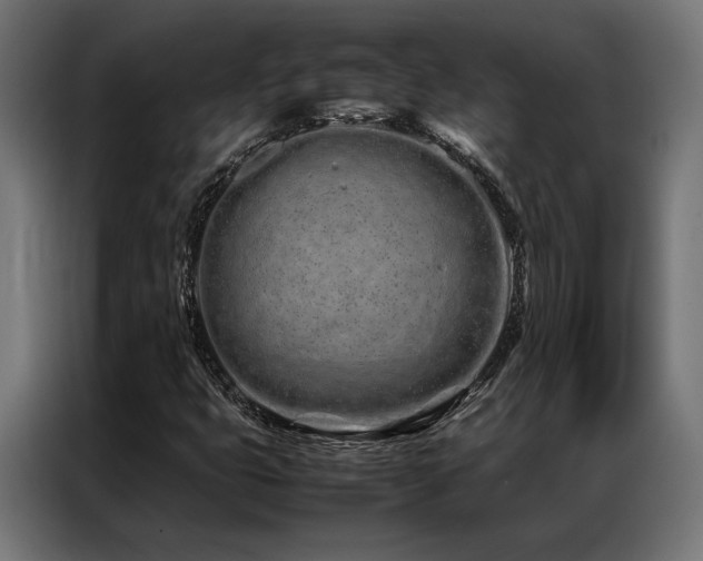 X0000086991399200704161458