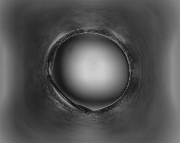 X0000086991400200704161458
