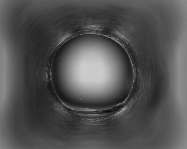 X0000086991401200704161458