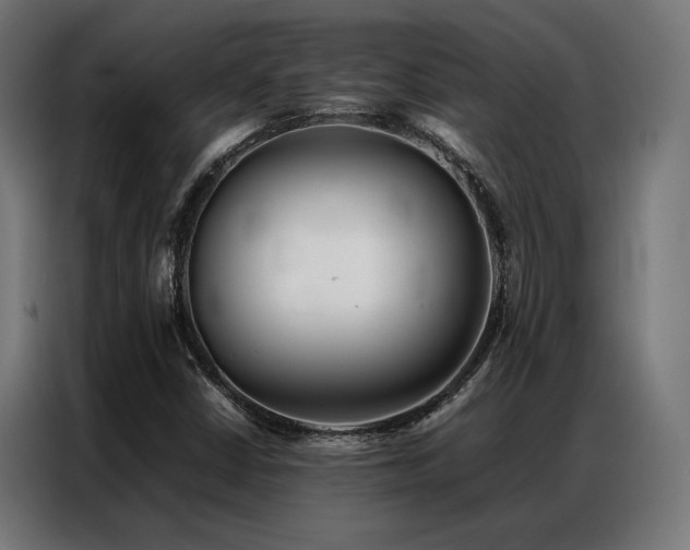 X0000086991402200704161458