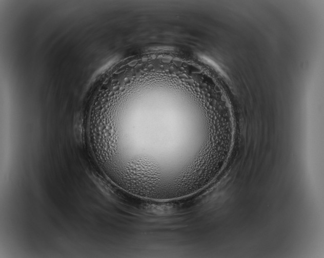 X0000086991403200704161458