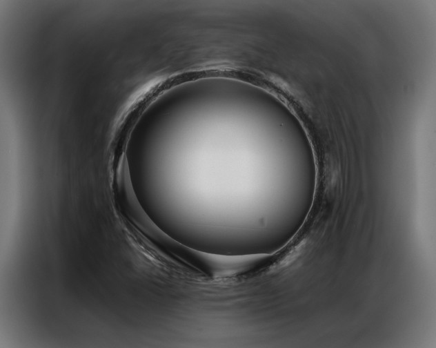 X0000086991406200704161458