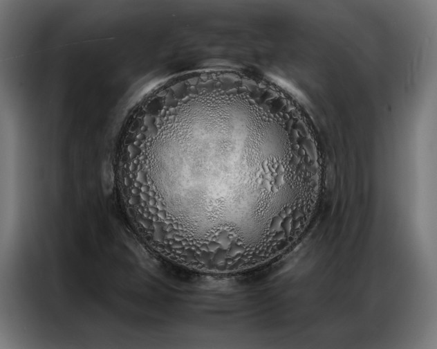 X0000086991407200704161458