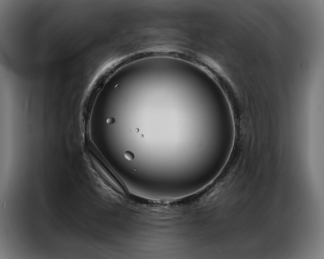 X0000086991408200704161458