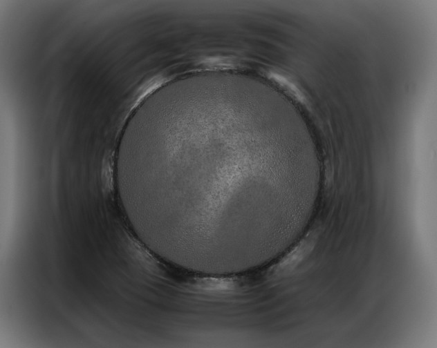 X0000086991409200704161458