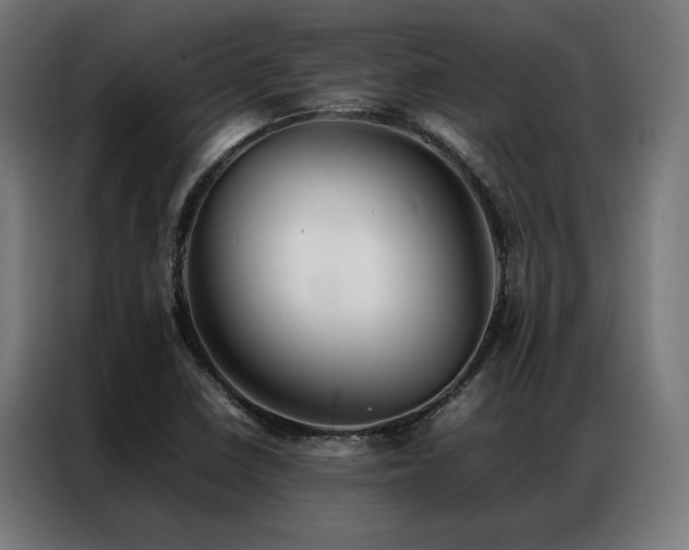 X0000086991410200704161458