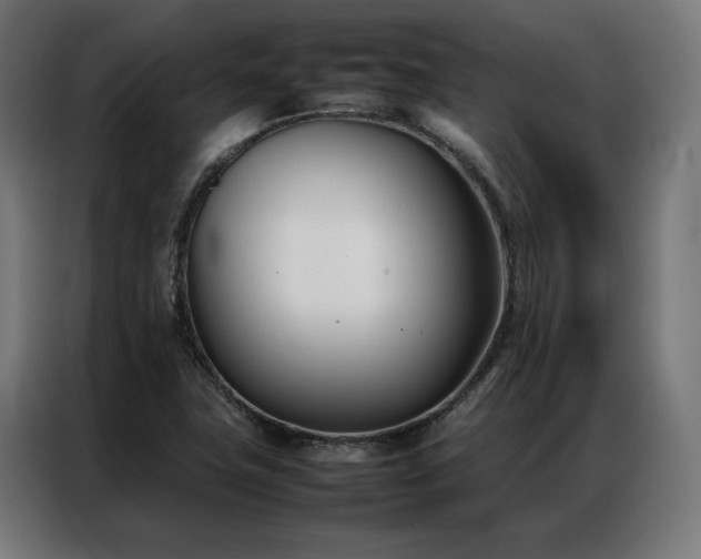 X0000086991411200704161458