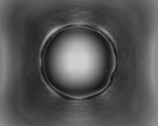 X0000086991416200704161458