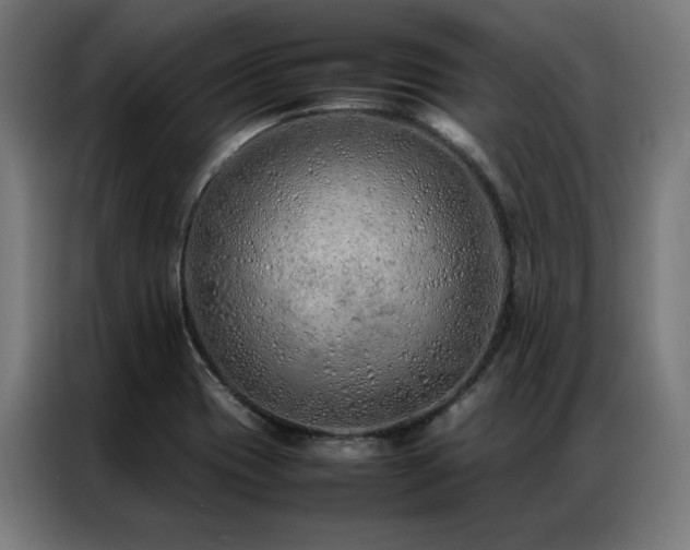 X0000086991417200704161458