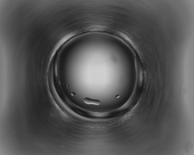 X0000086991418200704161458