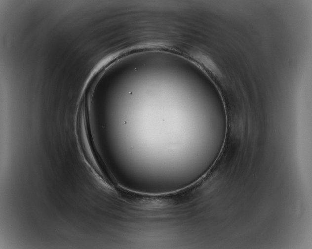 X0000086991420200704161458