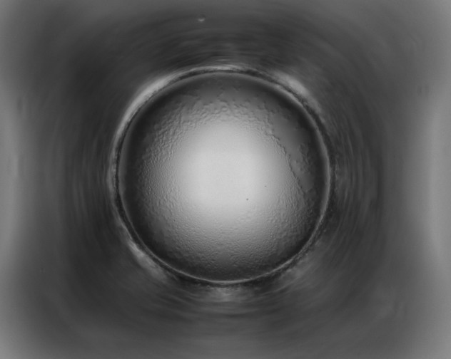 X0000086991421200704161458