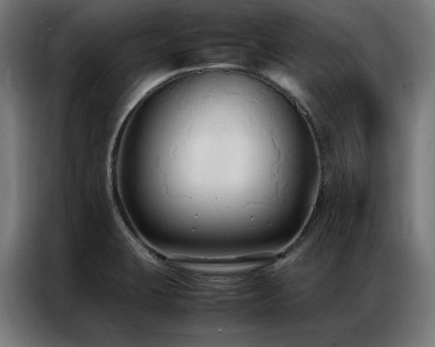 X0000086991423200704161458