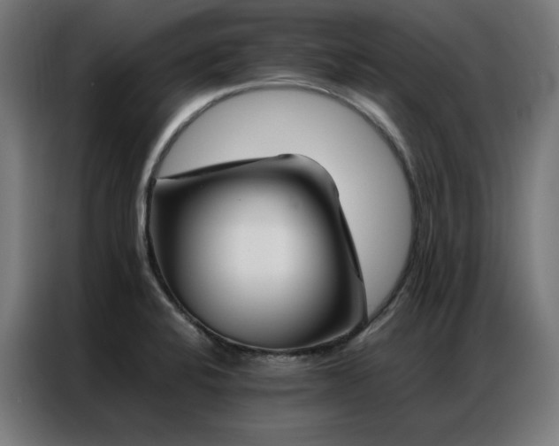 X0000086991424200704161458