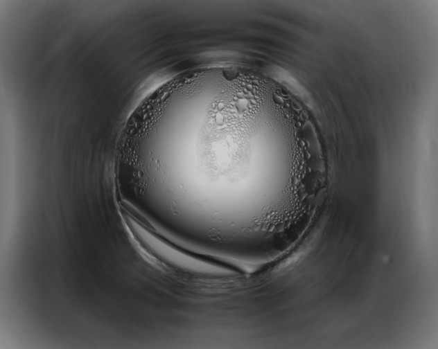 X0000086991425200704161458