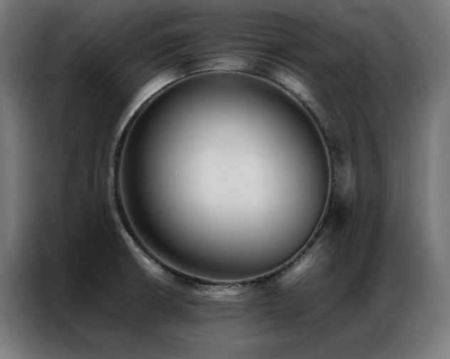 X0000086991426200704161458