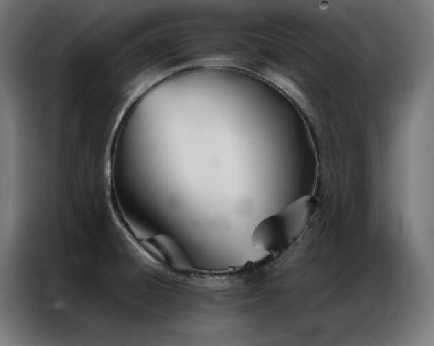 X0000086991428200704161458