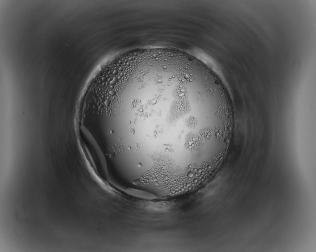 X0000086991429200704161458