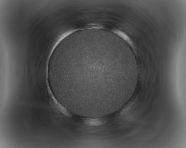 X0000086991431200704161458