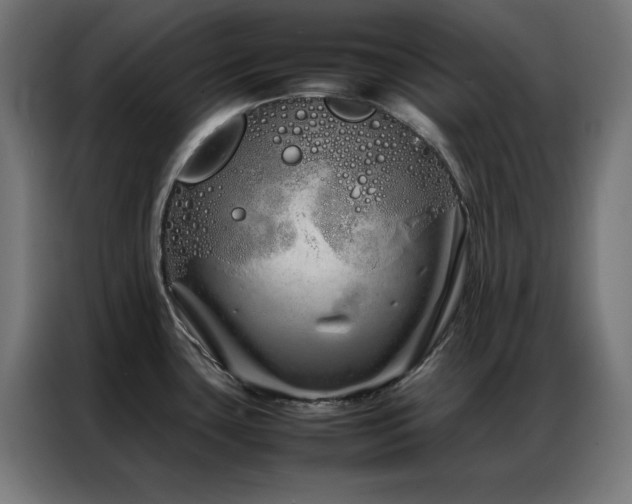 X0000086991435200704161458