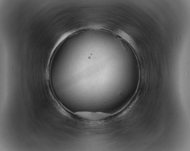 X0000086991436200704161458