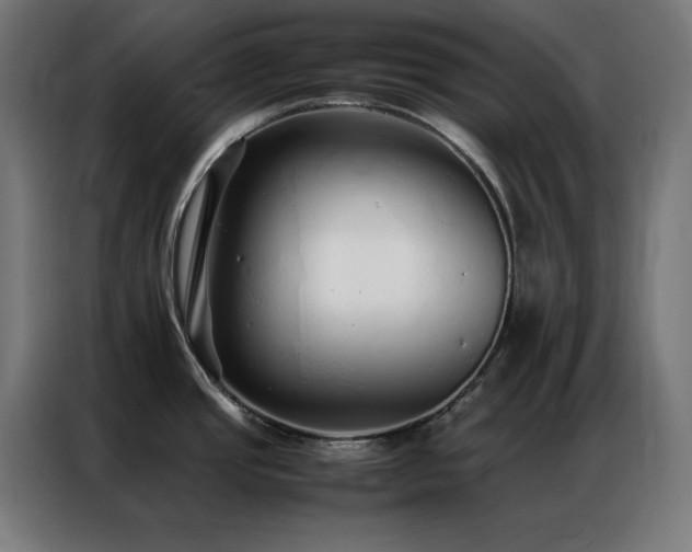 X0000086991437200704161458