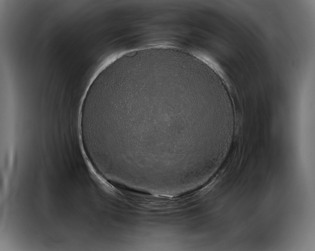 X0000086991439200704161458