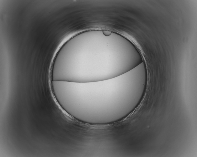 X0000086991440200704161458
