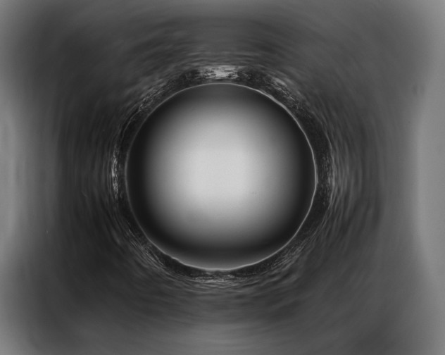 X0000086991442200704161457