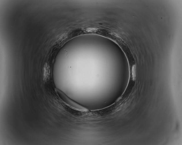 X0000086991443200704161457