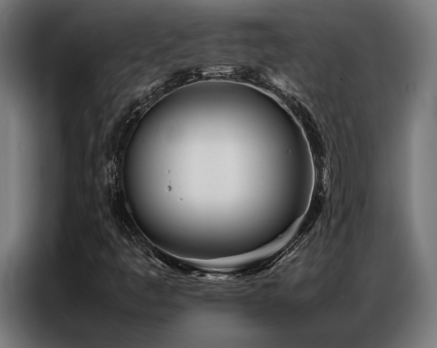 X0000086991445200704161457