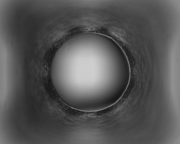 X0000086991447200704161457