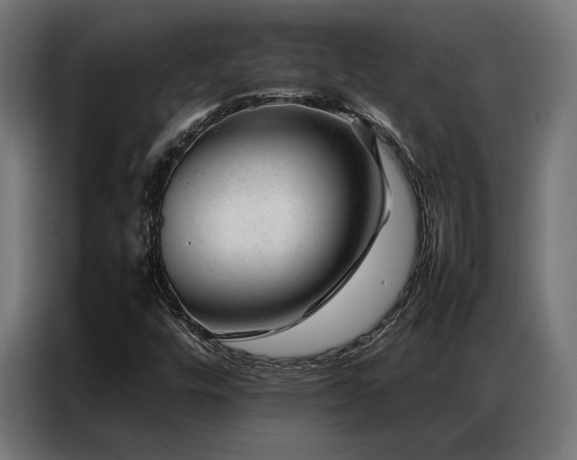 X0000086991448200704161457