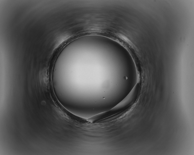 X0000086991450200704161457